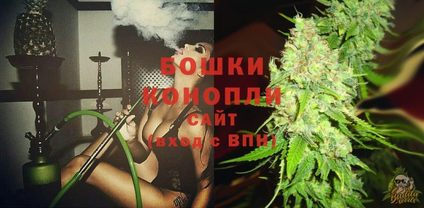 гидра Зеленокумск