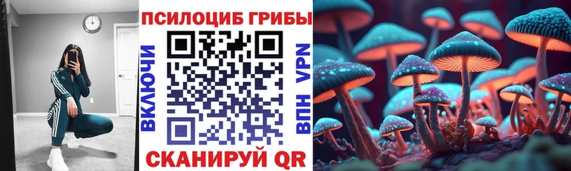 Галлюциногенные грибы Cubensis  Кадников 